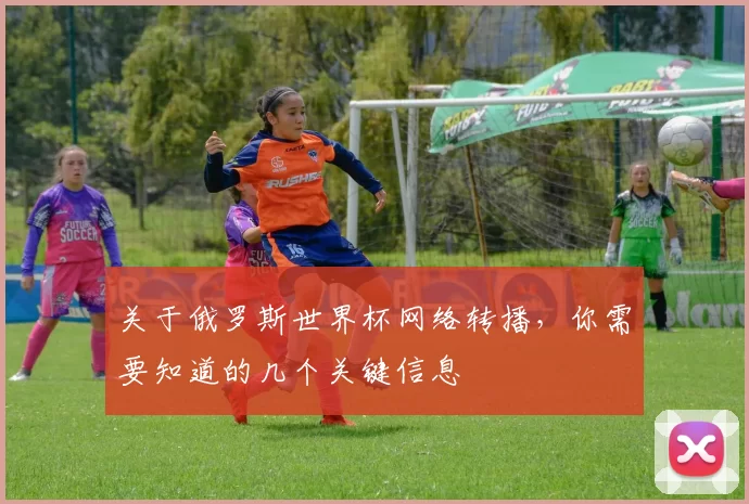关于俄罗斯世界杯网络转播，你需要知道的几个关键信息