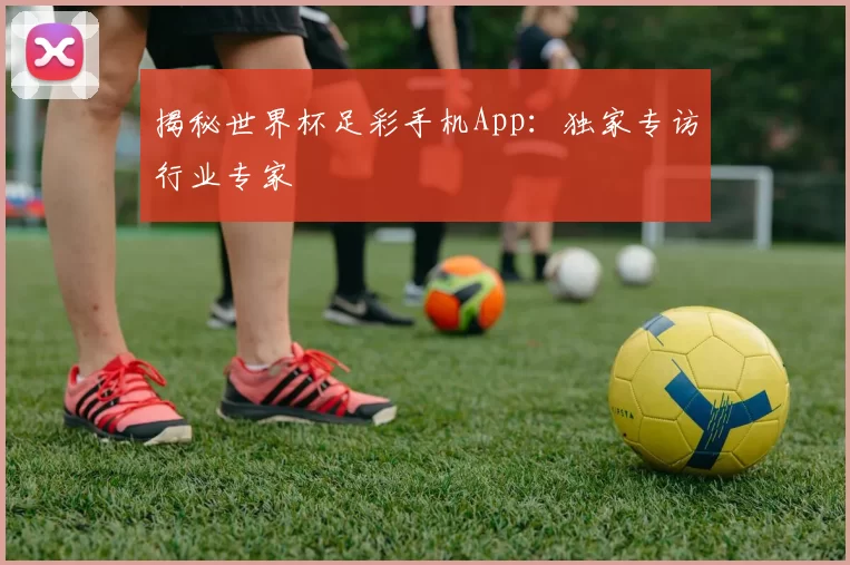 揭秘世界杯足彩手机App:独家专访行业专家