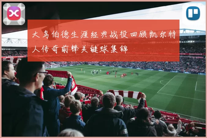 大鸟伯德生涯经典战役回顾凯尔特人传奇前锋关键球集锦