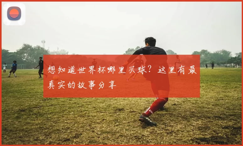 想知道世界杯哪里买球？这里有最真实的故事分享