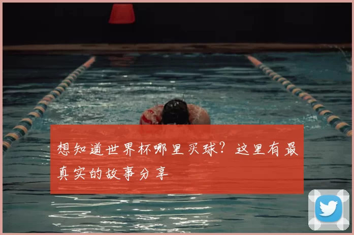想知道世界杯哪里买球？这里有最真实的故事分享