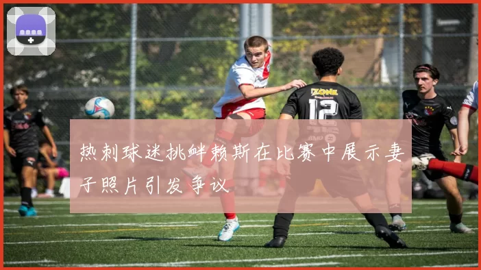 热刺球迷挑衅赖斯在比赛中展示妻子照片引发争议