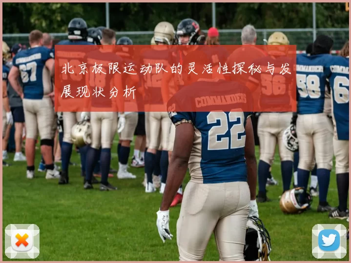 北京极限运动队的灵活性探秘与发展现状分析