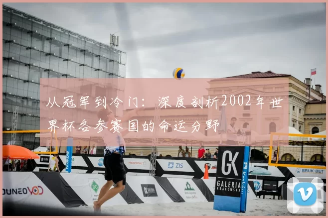 从冠军到冷门：深度剖析2002年世界杯各参赛国的命运分野