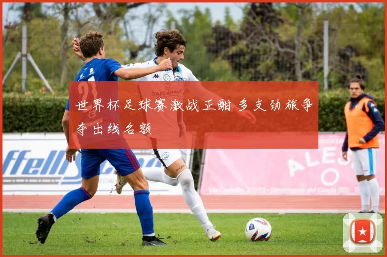 世界杯足球赛激战正酣 多支劲旅争夺出线名额