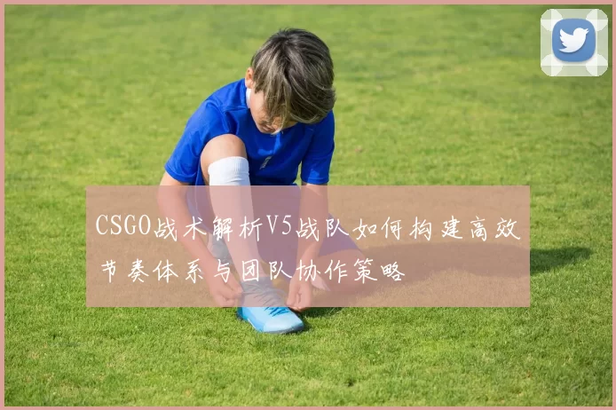CSGO战术解析V5战队如何构建高效节奏体系与团队协作策略