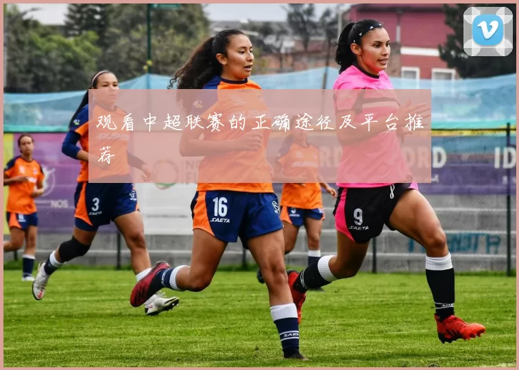 观看中超联赛的正确途径及平台推荐