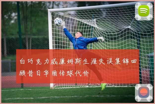 白巧克力威廉姆斯生涯失误集锦回顾昔日华丽传球代价