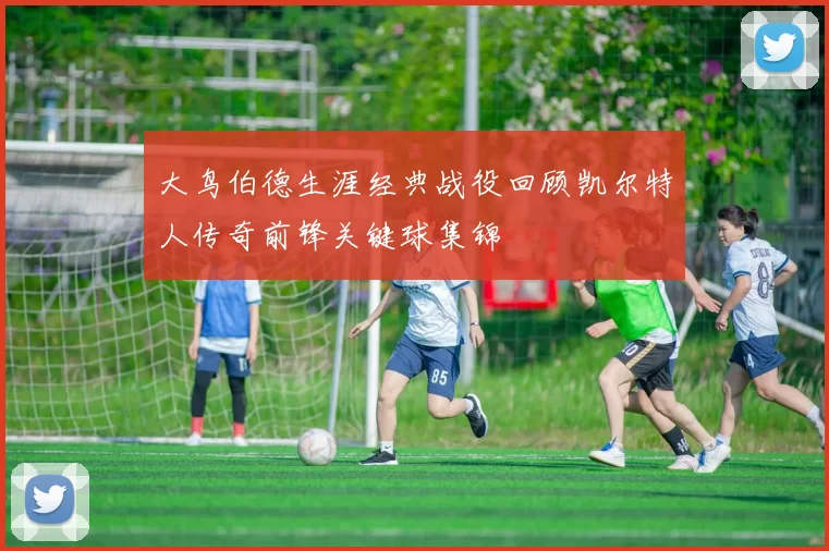 大鸟伯德生涯经典战役回顾凯尔特人传奇前锋关键球集锦