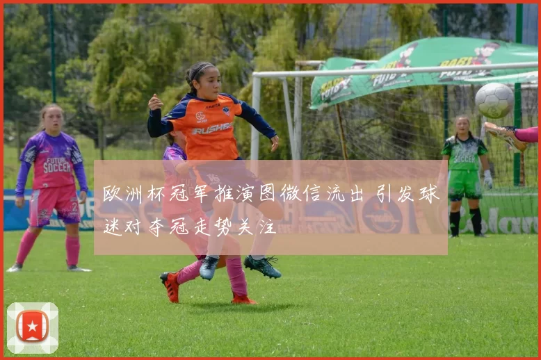 欧洲杯冠军推演图微信流出 引发球迷对夺冠走势关注