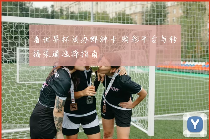 看世界杯该办哪种卡 购彩平台与转播渠道选择指南