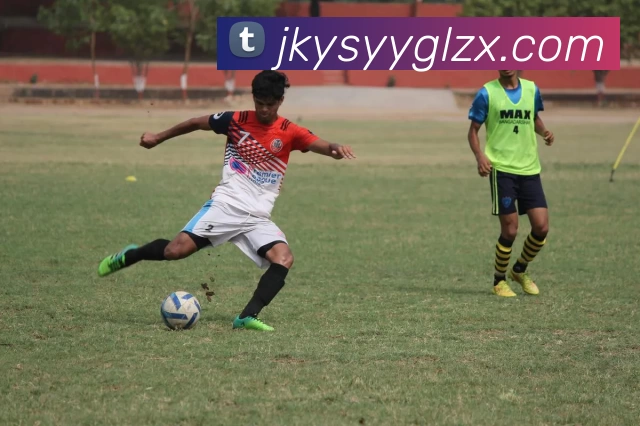 爱游戏体育服务体系